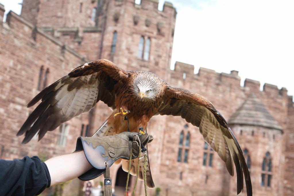 Peckforton Castle タルボリー エクステリア 写真